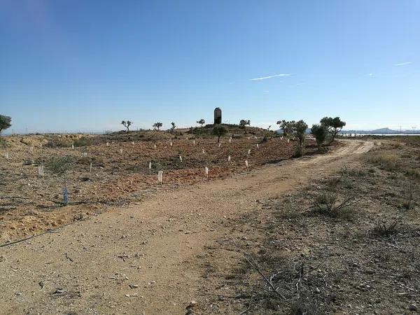 Terreno en Partida Baiona Alta, 10