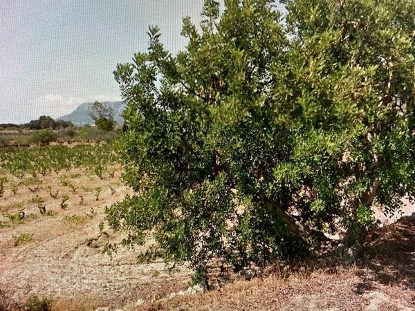 Terreno en Benissa pueblo