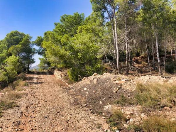 Terreno en Altea la Vella