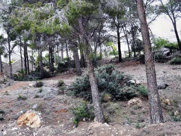 Terreno en Altea Hills