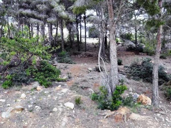 Terreno en Altea Hills