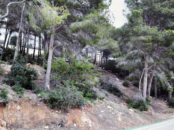 Terreno en Altea Hills