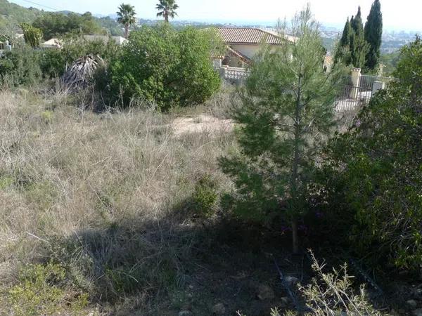 Terreno en Oltamar-Cucarres