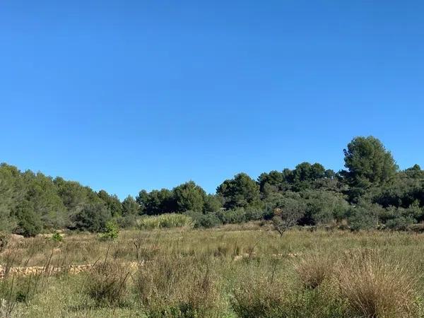 Terreno en Polígono 62, 6 Parcela 6