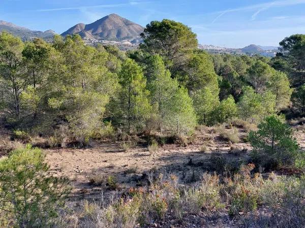 Terreno en Partida la Robella