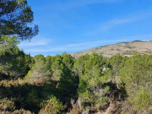 Terreno en Partida la Robella