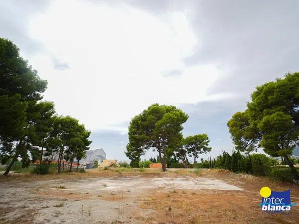 Terreno en alto Urbanización Carrió