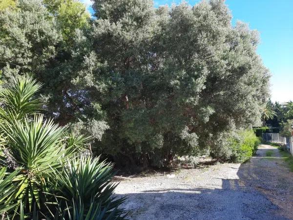 Terreno en El Montgó