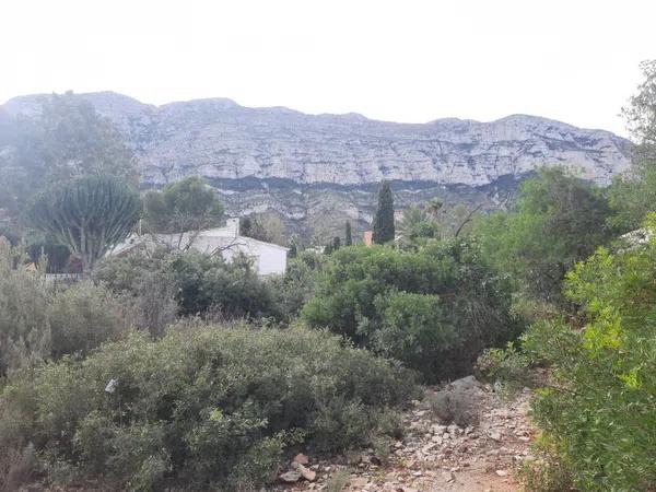 Terreno en El Montgó