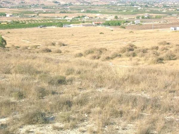 Terreno en Pedanías Oeste