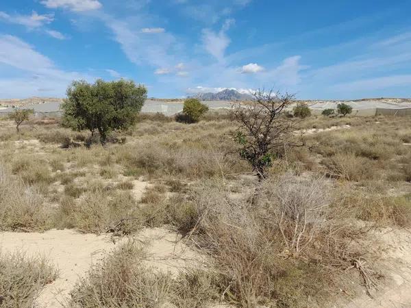 Terreno en partida campellet