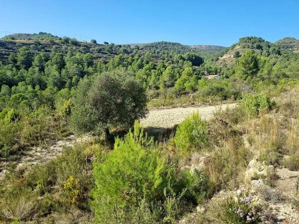 Terreno en Benissa pueblo