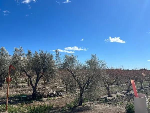 Terreno en carretera Cv-851, km 8