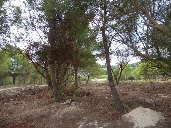 Terreno en Portichol - Balcón al Mar