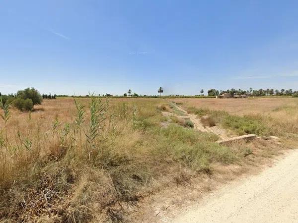 Terreno en carretera Elx - Santa Pola