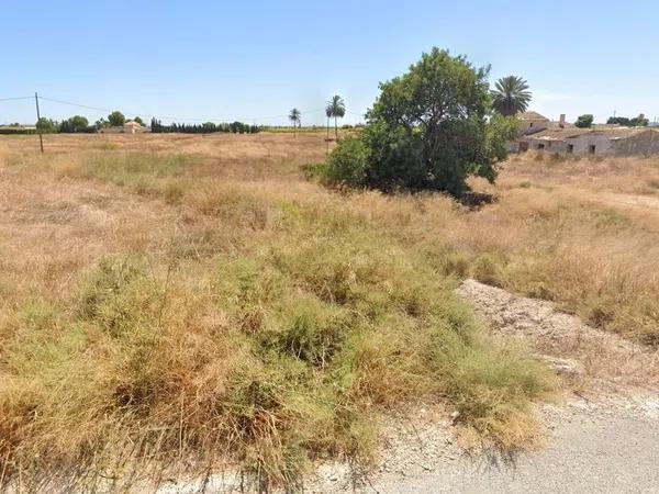 Terreno en carretera Elx - Santa Pola