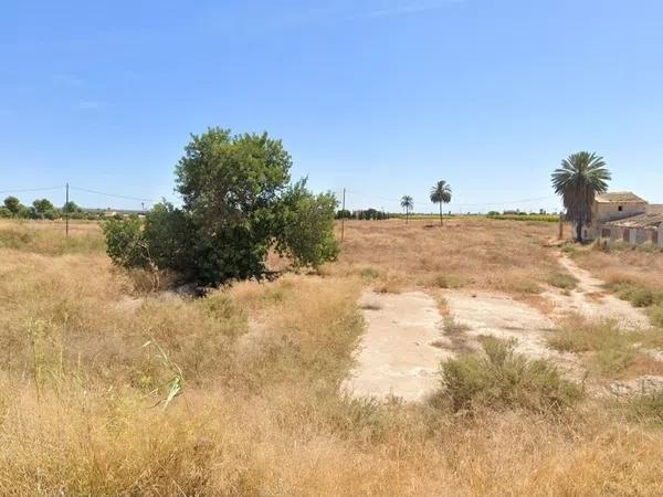 Terreno en carretera Elx - Santa Pola