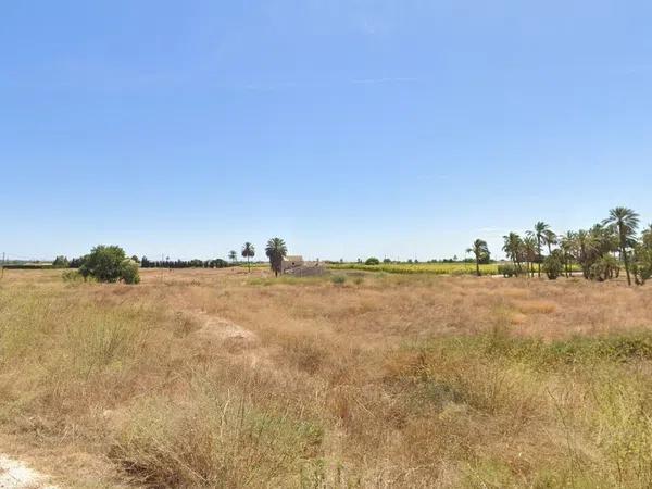 Terreno en carretera Elx - Santa Pola