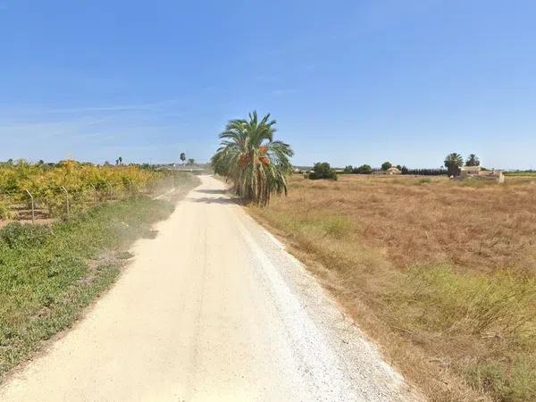 Terreno en carretera Elx - Santa Pola