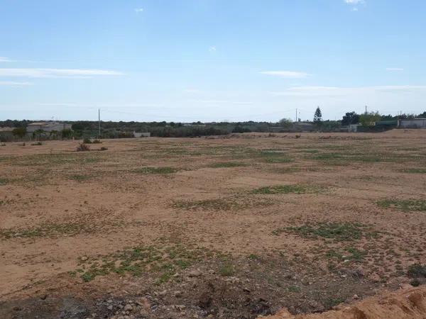 Terreno en avenida de l'Altet, 3 TorrelanoAltopoln