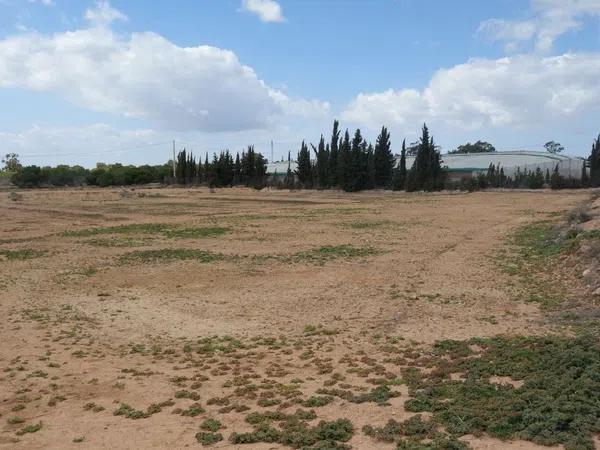 Terreno en avenida de l'Altet, 3 TorrelanoAltopoln