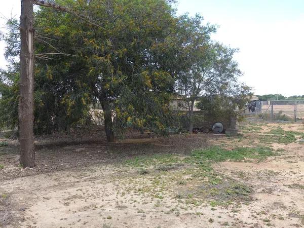 Terreno en avenida de l'Altet, 3 TorrelanoAltopoln