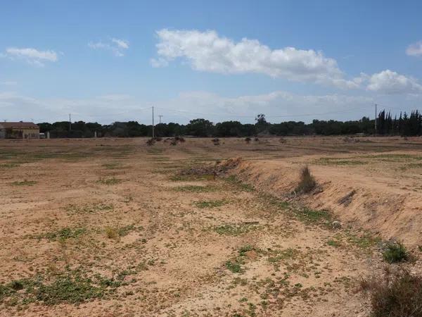 Terreno en avenida de l'Altet, 3 TorrelanoAltopoln