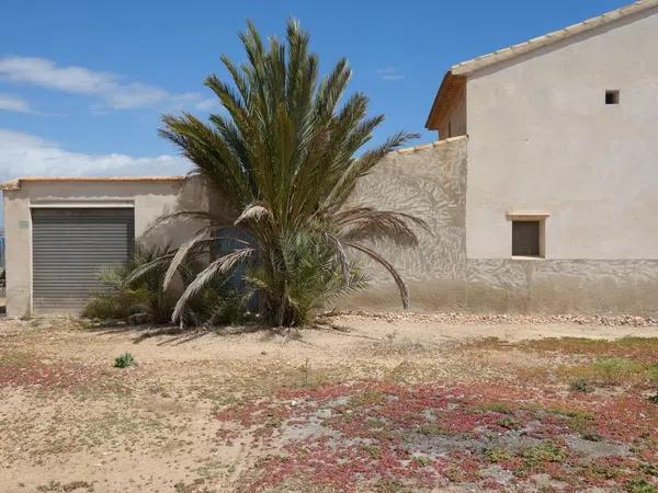 Terreno en avenida de l'Altet, 3 TorrelanoAltopoln