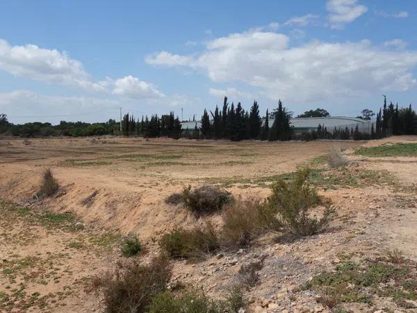 Terreno en avenida de l'Altet, 3 TorrelanoAltopoln