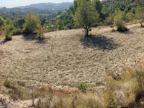 Terreno en partida de san antonio s/n