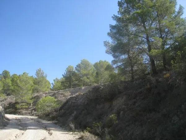 Terreno en plaza Foya del Cac