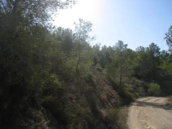 Terreno en plaza Foya del Cac