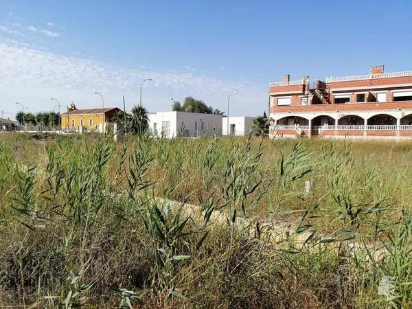 Terreno en Orihuela Ciudad