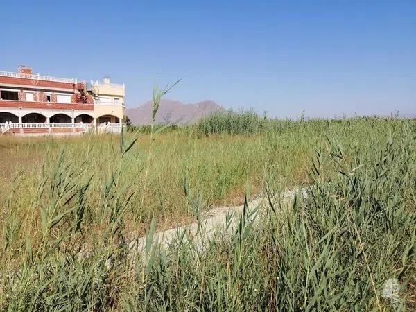 Terreno en Orihuela Ciudad