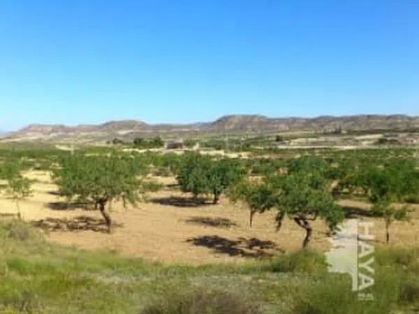 Terreno en Orihuela Ciudad