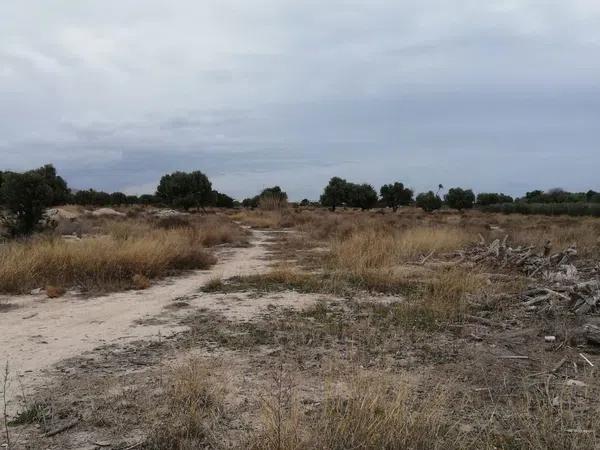 Terreno en La Huerta