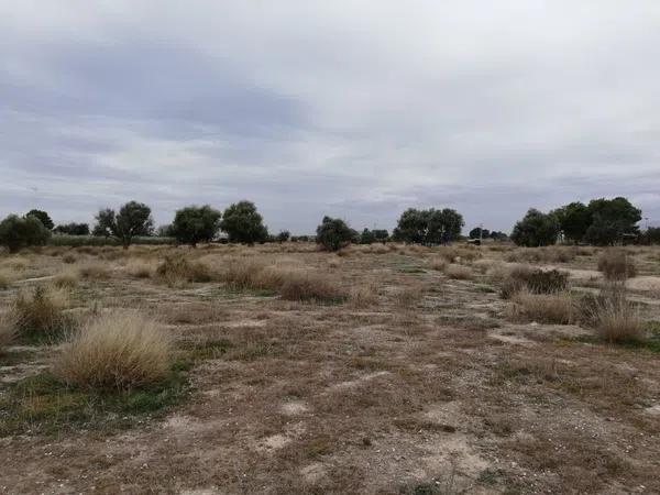 Terreno en La Huerta