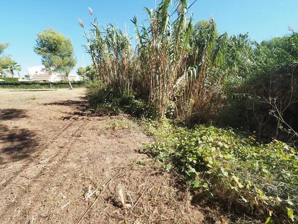 Terreno en Cap Martí - Pinomar