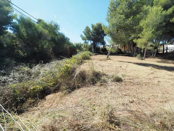 Terreno en Cap Martí - Pinomar