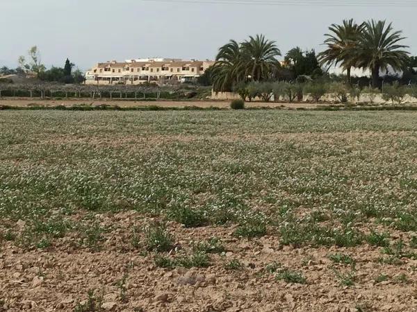 Terreno en Maitino-Perleta