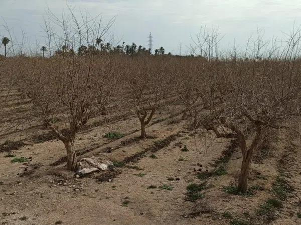 Terreno en Maitino-Perleta