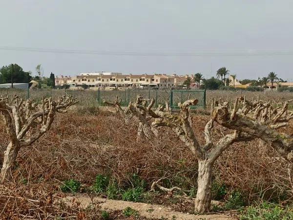 Terreno en Maitino-Perleta