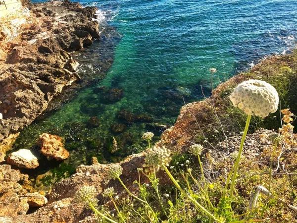 Terreno en camino Vell Alt de Dénia a Xabia