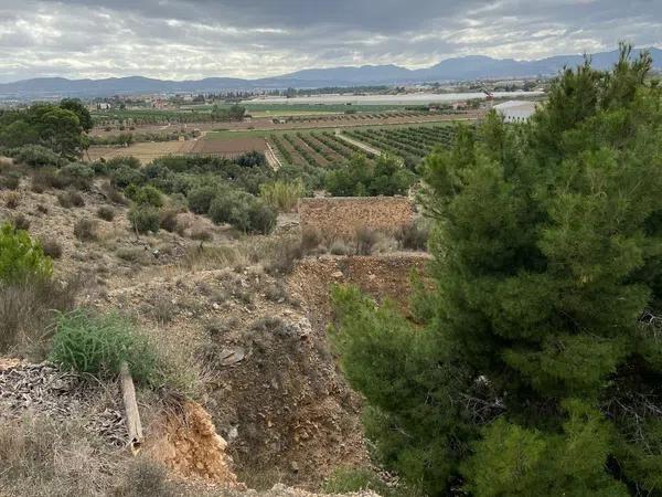 Terreno en calle la Carretera, 57