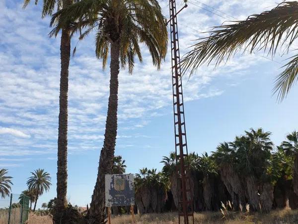 Terreno en La Hoya-Daimes-El Derramador