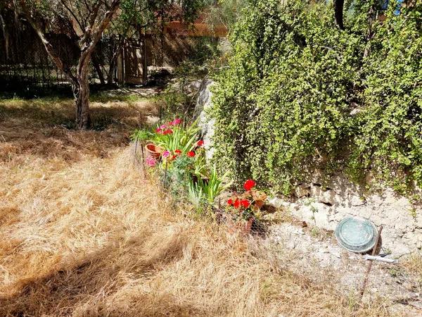 Terreno en calle Publicista Víctor Viñés, 14 [a]