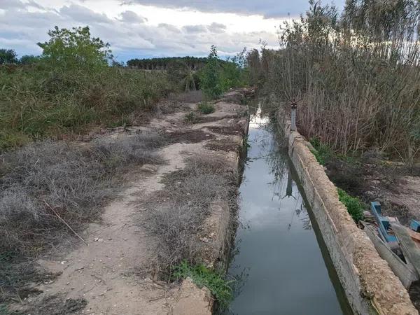 Terreno en La Marina