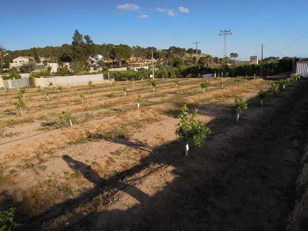 Terreno en Partida la Pila s/n