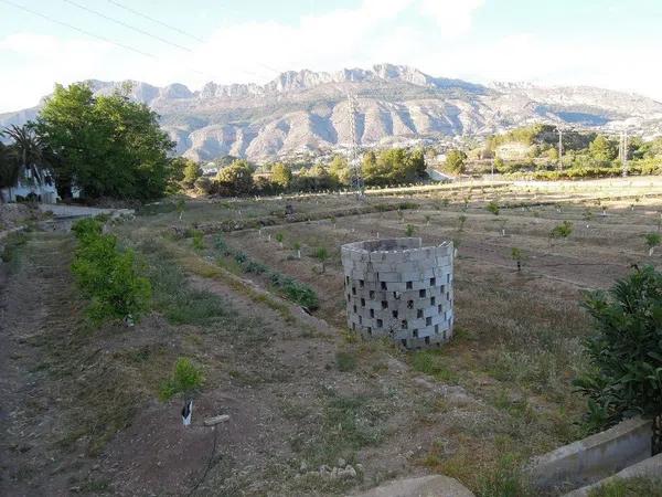 Terreno en Partida la Pila s/n