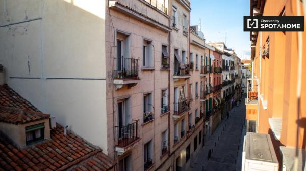 Studio poli à louer à Lavapiés, Madrid